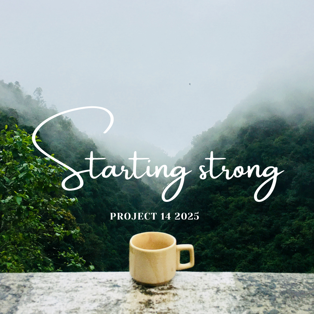 Project 14 2025 - Starting Strong (January 1-14)