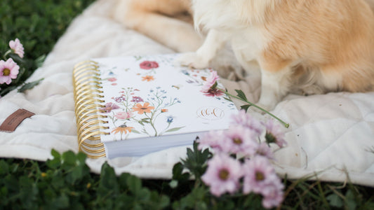 How to Use Your Planner - Even on Your Busiest Days