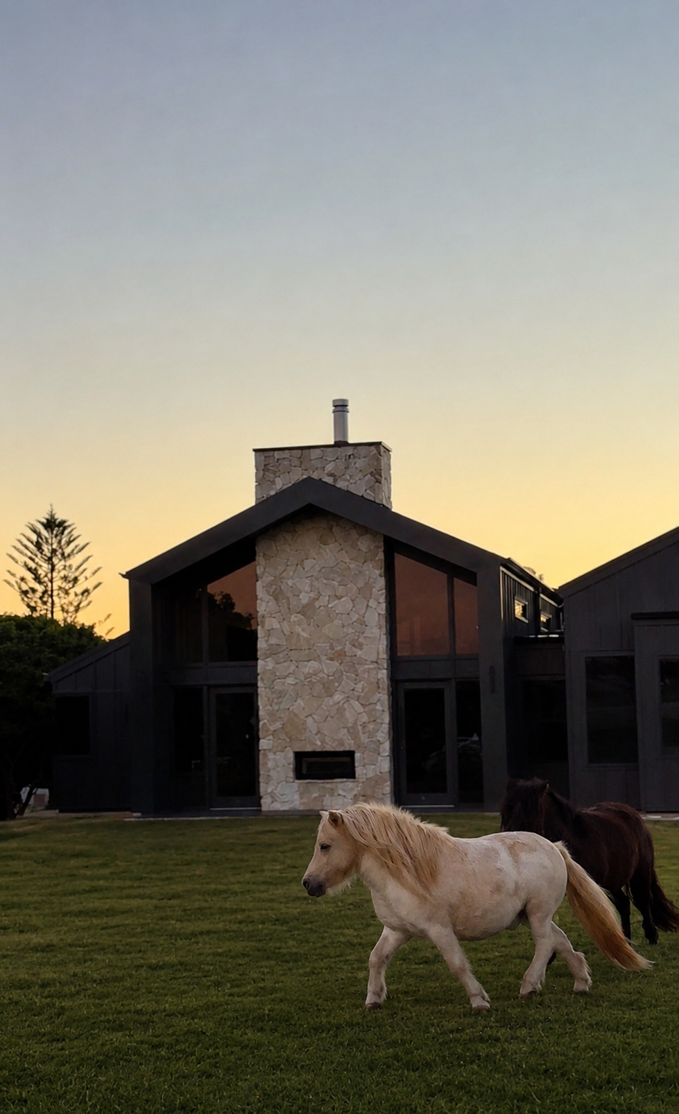 Project 14: What We’re Building (July17-30)