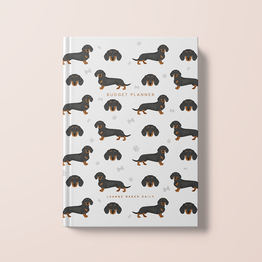 (Preorder) Budget Planner Daily Dash